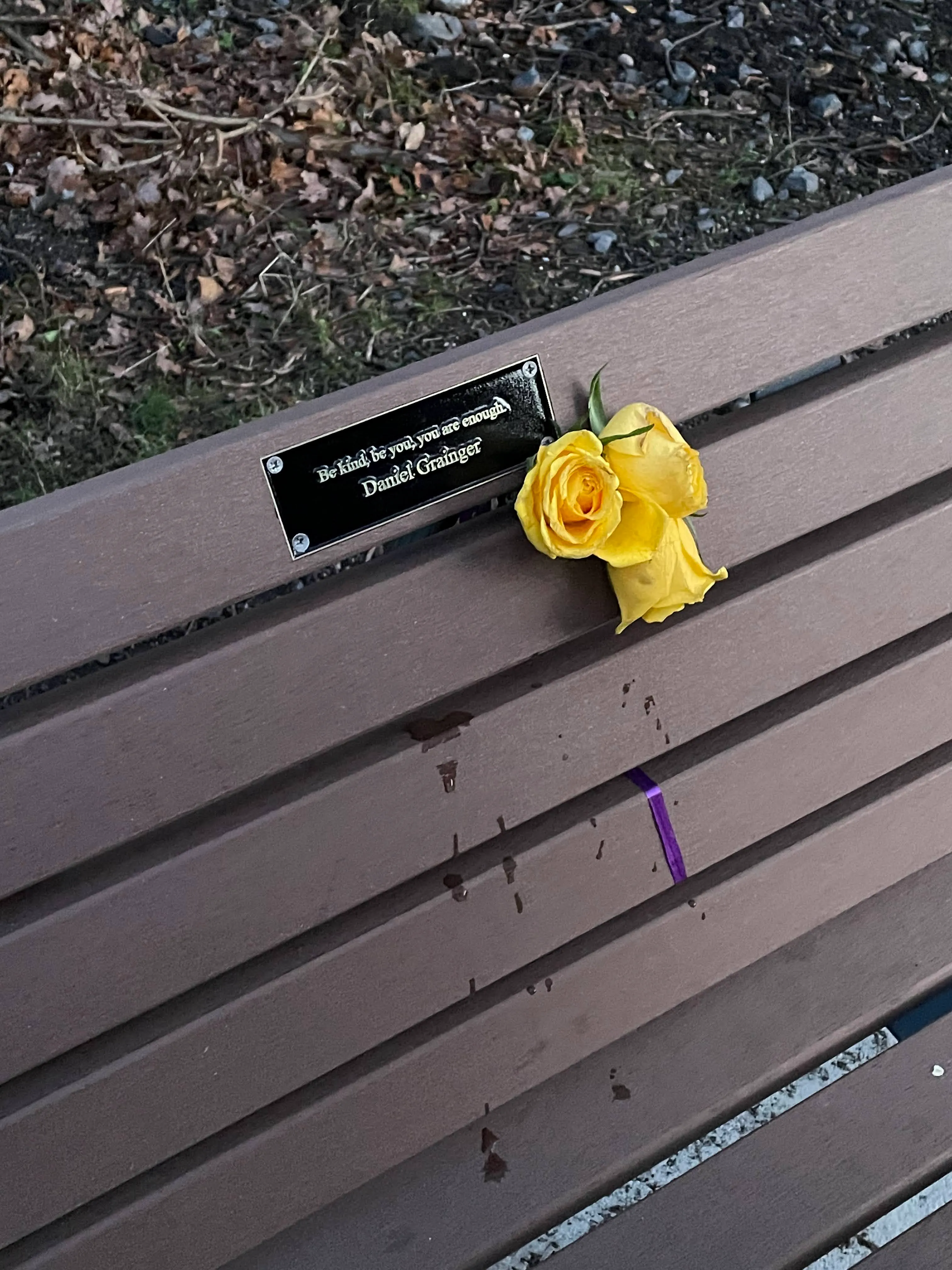 Memorial bench with a yellow rose